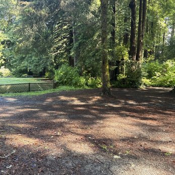 Emerald Forest Cabins & RV - Campgrounds Near Me - Trinidad, California Emerald Forest Cabins & RV - Campgrounds Near Me - Trinidad, California