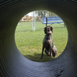 South Mt. Juliet Bark Park - Peek a Boo