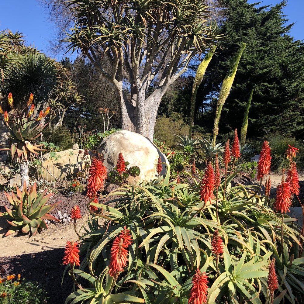 Seaside Gardens - Nurseries & Gardening Near Me - Carpinteria, California Seaside Gardens - Nurseries & Gardening Near Me - Carpinteria, California