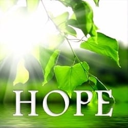Maria Droste Counseling Services