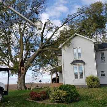 Red's Tree & Services - Tree Services Near Me Red's Tree & Services - Tree Services Near Me