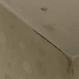 Mold in shower ceiling Mold in shower ceiling