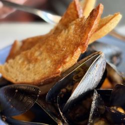 Blackbird - Mussels