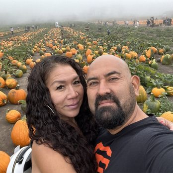 Bob's Vegetable Stand & Pumpkin Farm - Pumpkin Patches Near Me - Half Moon Bay, California Bob's Vegetable Stand & Pumpkin Farm - Pumpkin Patches Near Me - Half Moon Bay, California