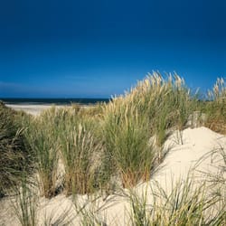 Bade- und Burgenstrand Langeoog