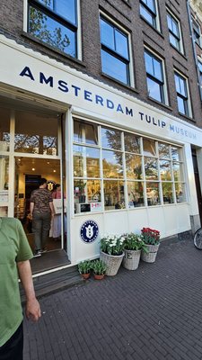 Amsterdam Tulip Museum by null