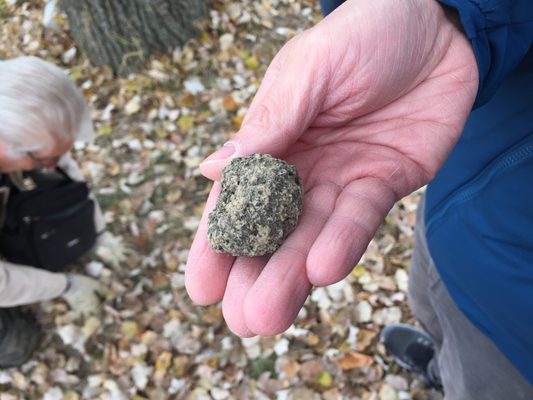 Ristorante San Marco chiude per ferie dal 19 gennaio al 30 gennaio by null
