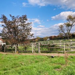 Necessity Farms & Dairy - Necessity Farm
