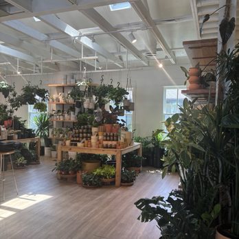 Bellwood Coffee - Coffee Roasteries Near Me - Atlanta, Georgia