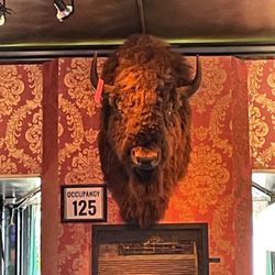 Elkhorn Saloon - Tatanka!!