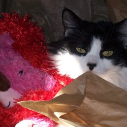 Bella and her buddy