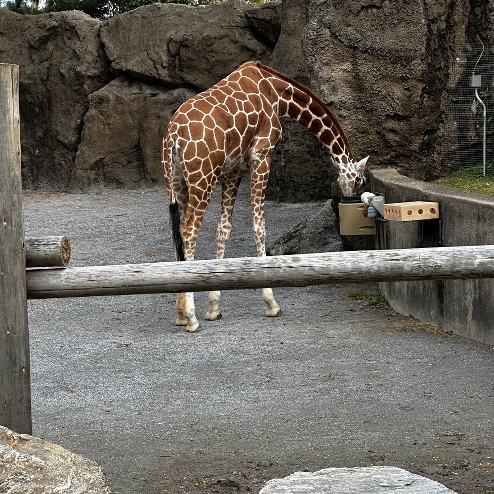 Philadelphia Zoo - Zoos Near Me - Philadelphia, Pennsylvania Philadelphia Zoo - Zoos Near Me - Philadelphia, Pennsylvania