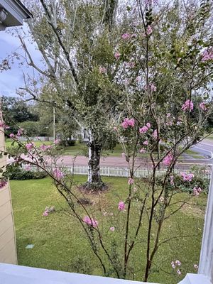 Isabella Bed & Breakfast by null