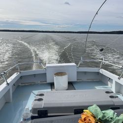 Miss Susie Charters