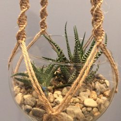 Four Seasons Nursery