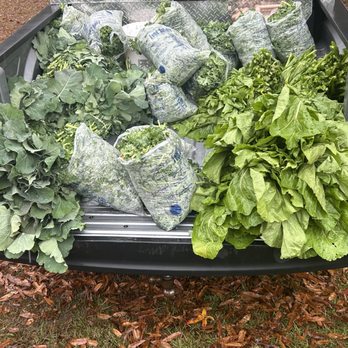 Produce on the Patch - Farmers Market Near Me - Ludowici, Georgia Produce on the Patch - Farmers Market Near Me - Ludowici, Georgia