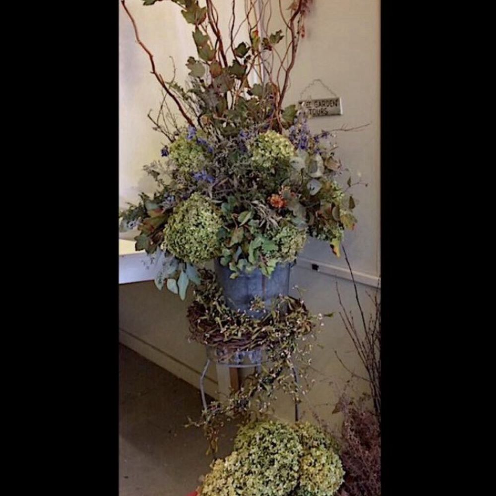 Flowers Potsdam Ny Best Flower Site