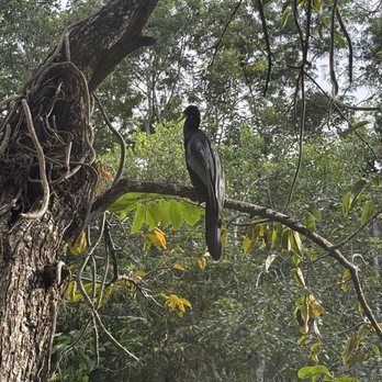 Ecopark Kantun-Chi - Parks Near Me - Quintana Roo, ROO