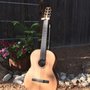 Photo of Brad Andersen Guitars