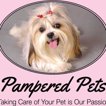 Pampered Pets - Professional Petsitter/Dog Boarding/Pet Taxi & more... - Dog Walkers Near Me Pampered Pets - Professional Petsitter/Dog Boarding/Pet Taxi & more... - Dog Walkers Near Me