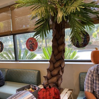 Surfside Kids Dental - Orthodontists Near Me - Sacramento, California Surfside Kids Dental - Orthodontists Near Me - Sacramento, California