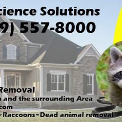 Wild Science Solutions - Our work comes with a 2 year warranty.