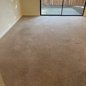 Pine Fresh Carpet Cleaning - Cleaned up carpets - Office Cleaning Near Me