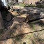 Photo of Texas Lawn Services