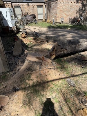 Texas Lawn Services on Yelp