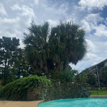 Marsh Landing - Marsh Landing pool - Apartments Near Me - Albany, Georgia