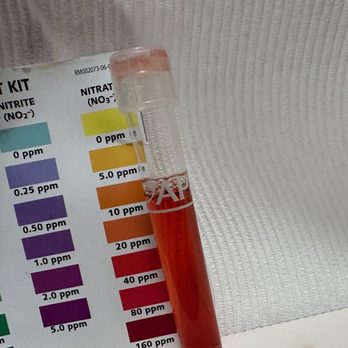 PetSmart - Testing the water from Petsmart tank, the nitrate level looked to be between 40-80ppm, suggesting insufficient water change. - Pet Stores Near Me - Everett, Massachusetts