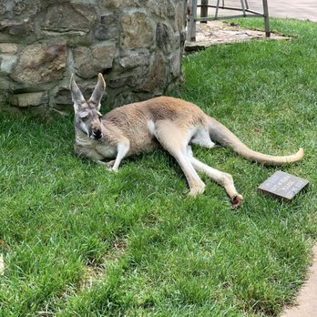 Nashville Zoo - Zoos Near Me - Nashville, Tennessee Nashville Zoo - Zoos Near Me - Nashville, Tennessee