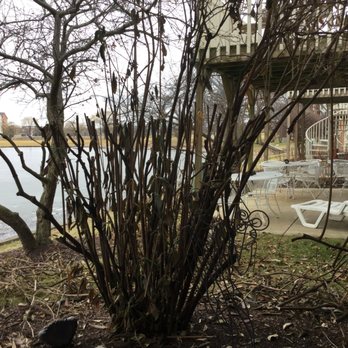 BrightView Landscaping Services - Awful - Landscaping Near Me BrightView Landscaping Services - Awful - Landscaping Near Me