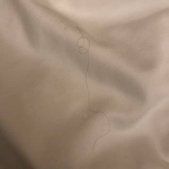 Marin Suites Hotel - Pubic Hairs all over duvet and sheets of bed!!!!!!!! - Hotels Near Me - Corte Madera, California