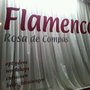 Photo of Flamenco Rosa de Compás