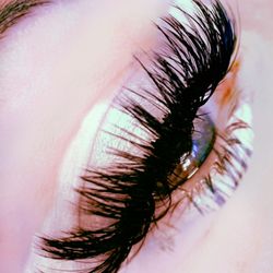 Loni's Locks & Lashes