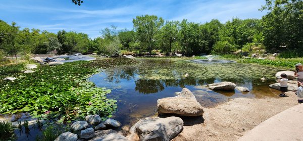 ABQ BioPark - Botanic Garden by null