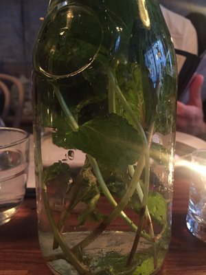 Schilling Restaurant & Bar by null