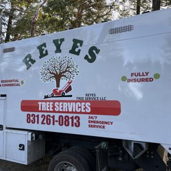 Reyes Tree Service