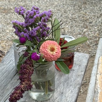 Flora's Farm - Farmers Market Near Me - Ánimas Bajas, BCS