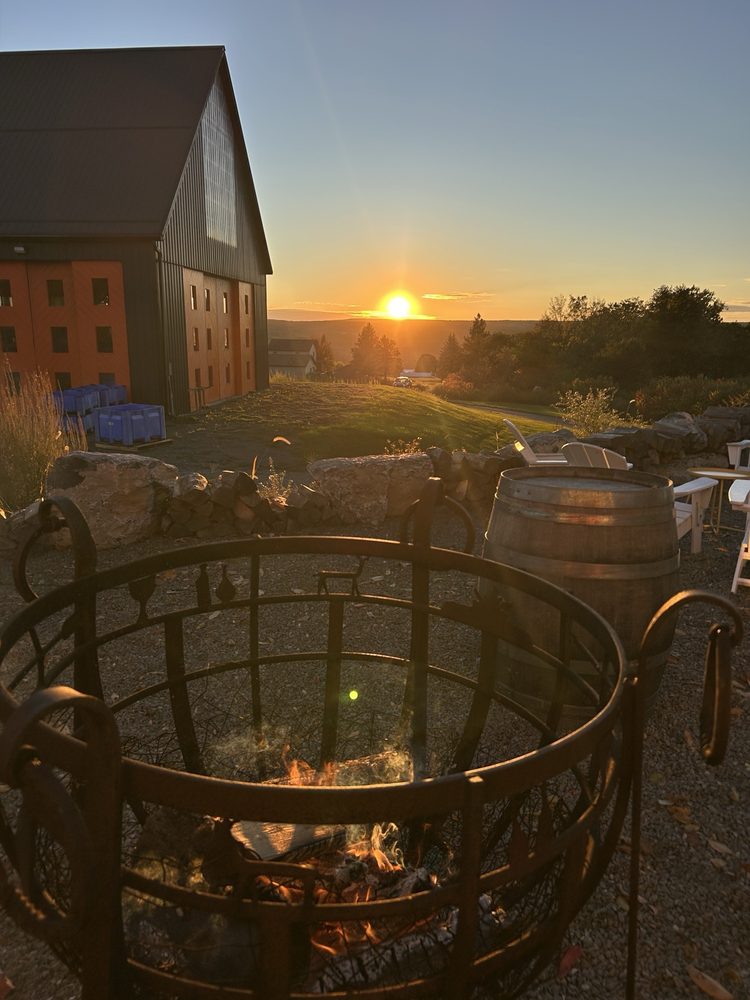 Forge Cellars - vineyard in Burdett, NY