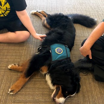 Love On 4 Paws - Therapy dog, JD, visiting with children. - Animal Assisted Therapy Near Me - Rancho Palos Verdes, California Love On 4 Paws - Therapy dog, JD, visiting with children. - Animal Assisted Therapy Near Me - Rancho Palos Verdes, California