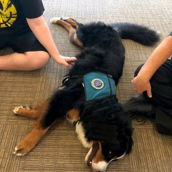 Love On 4 Paws - Therapy dog, JD, visiting with children.