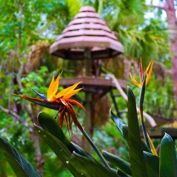 Brevard Zoo - Plants - Zoos Near Me - Melbourne, Florida Brevard Zoo - Plants - Zoos Near Me - Melbourne, Florida