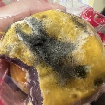 Valerio's Tropical Bakeshop - Mold on hopia - Bakeries Near Me - Rancho Cucamonga, California Valerio's Tropical Bakeshop - Mold on hopia - Bakeries Near Me - Rancho Cucamonga, California