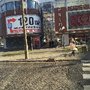 Photo of Travel Free