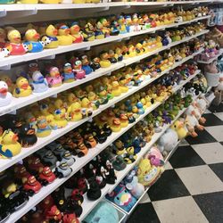 Lots of ducks