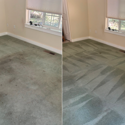 Sam I Am Carpet Cleaning
