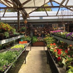 East Bay Nursery - Annuals