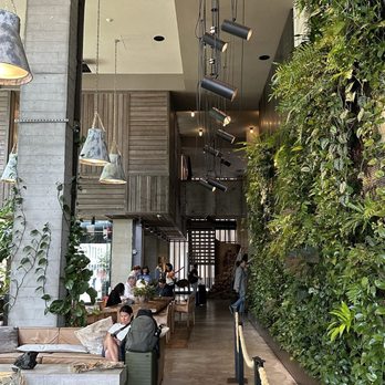 The Osprey - Hotel lobby - Australian Near Me - Brooklyn, New York